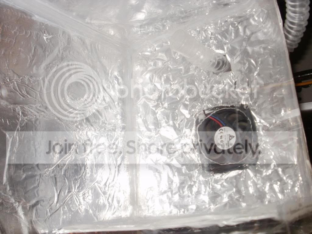 P7050097.jpg