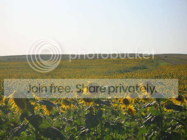 DSCN6032.jpg