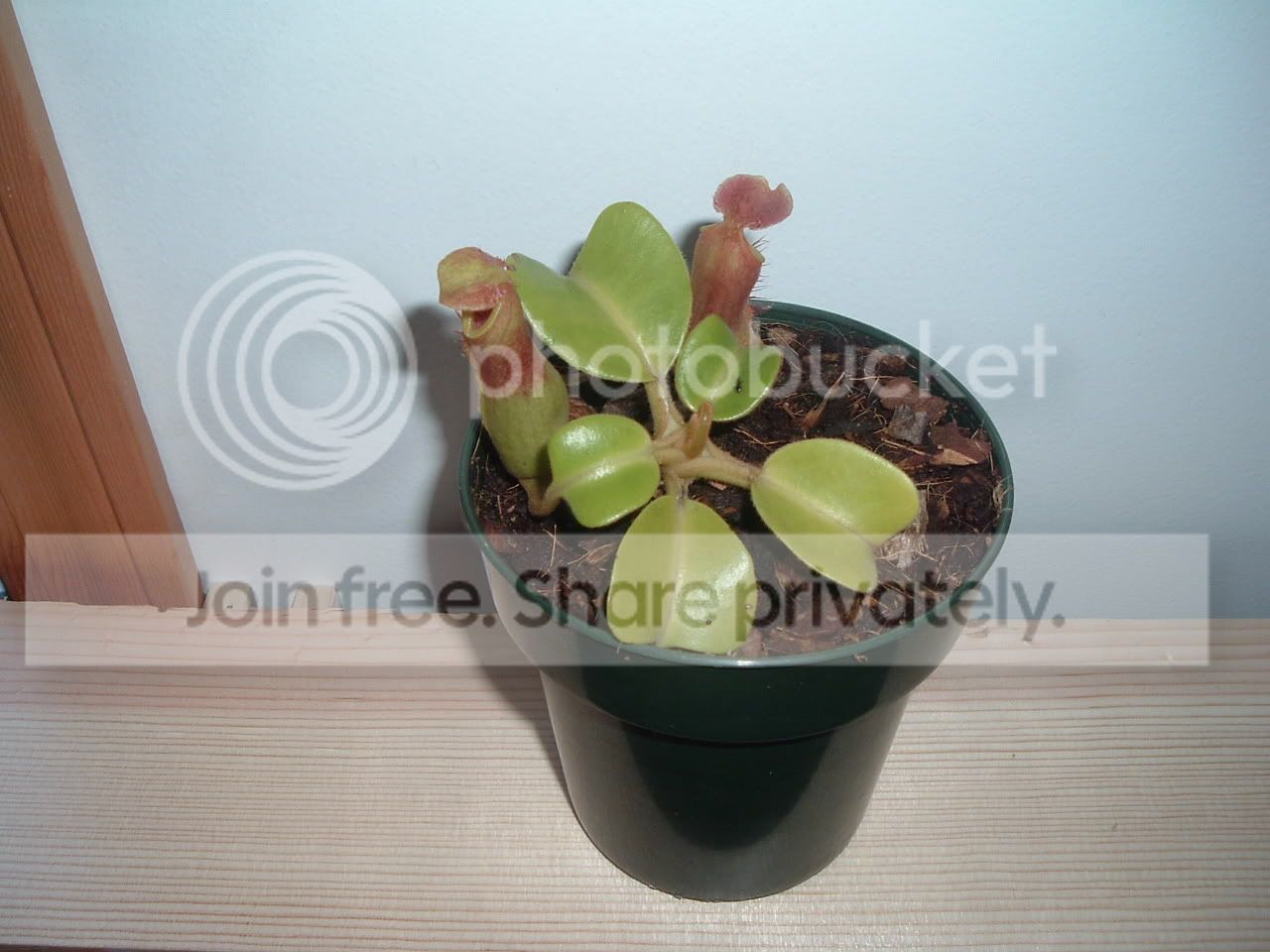 DSCF2493.jpg