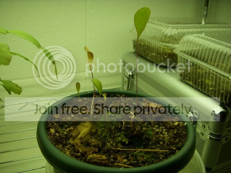DSCN3466.jpg