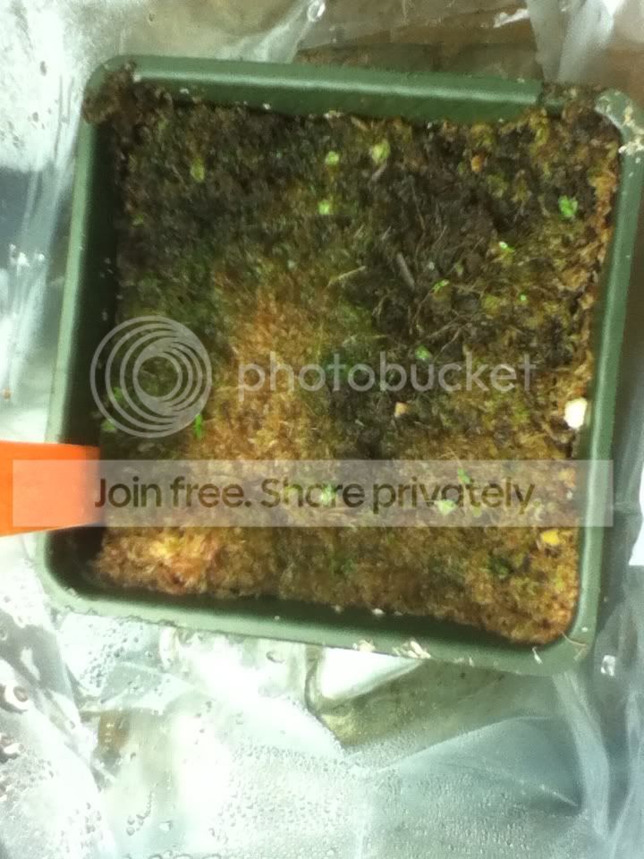 5f2761bd.jpg