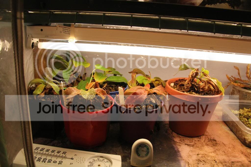 IMG_2205_zpsfc677654.jpg