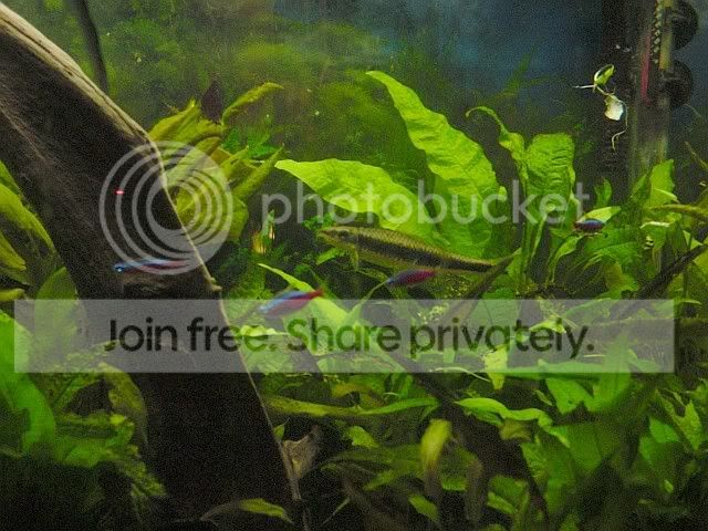 aquarium07.jpg