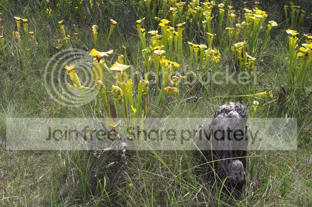 DSCF8578.jpg