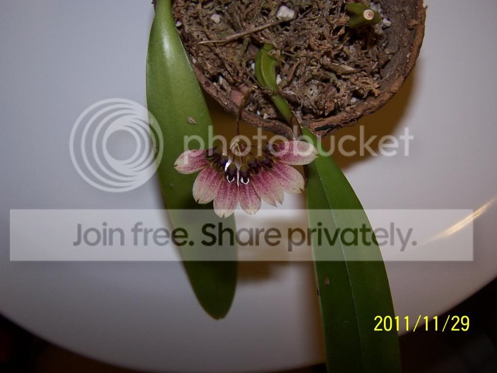 100_5586.jpg