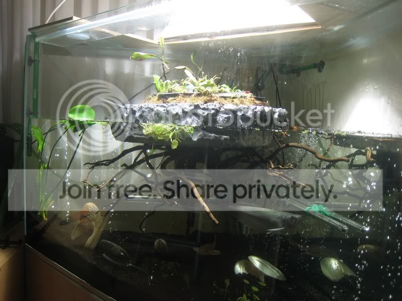 44Paludarium.jpg