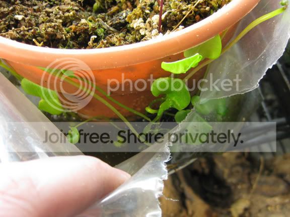 IMG_0909.jpg