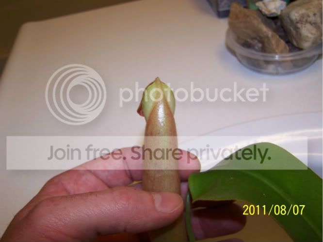 100_4986.jpg