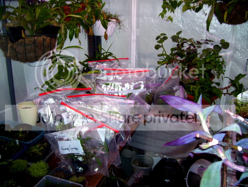100_6688.jpg