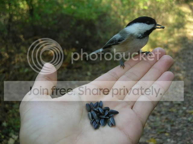 DSCN6125.jpg