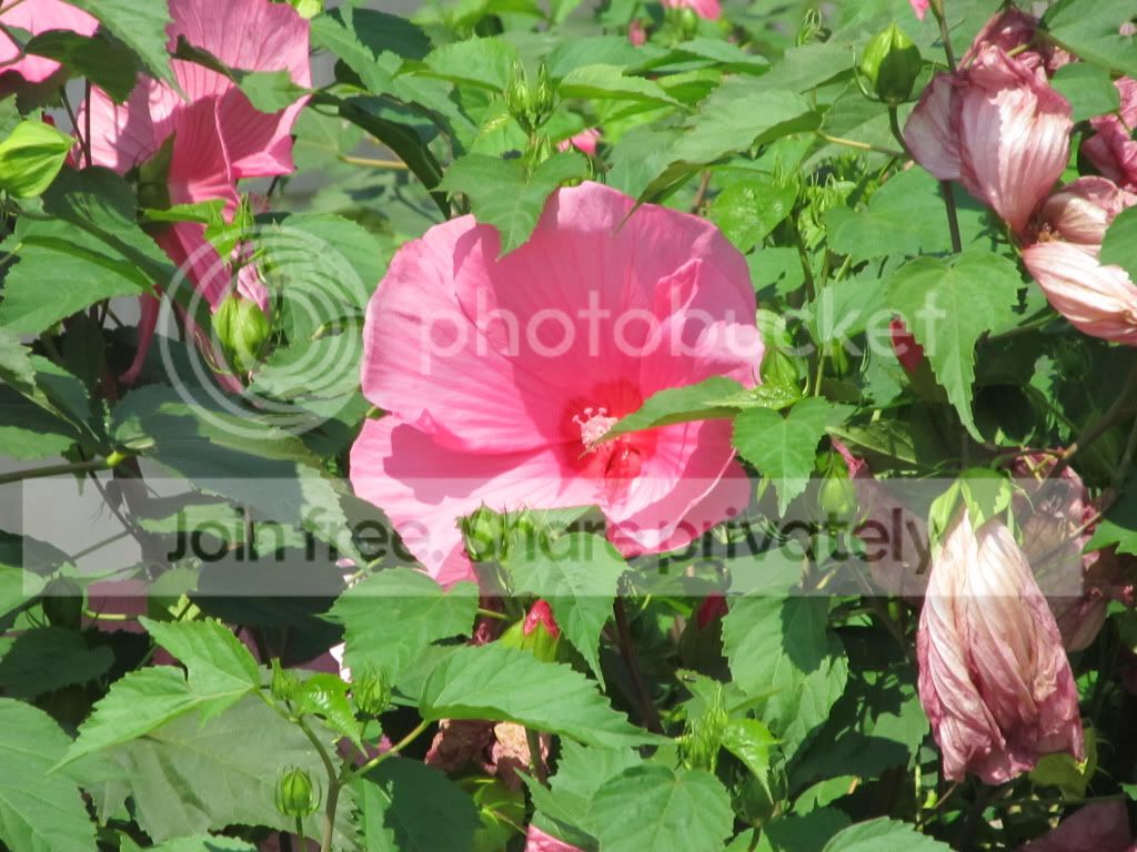 IMG_8384.jpg