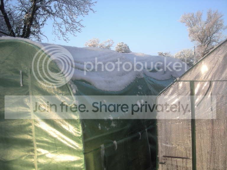 DSCN2385.jpg