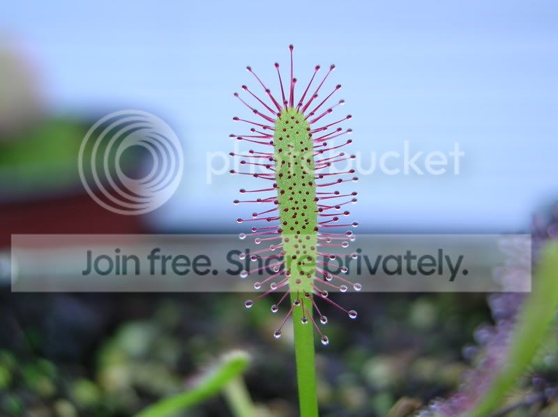 DSCN2563.jpg