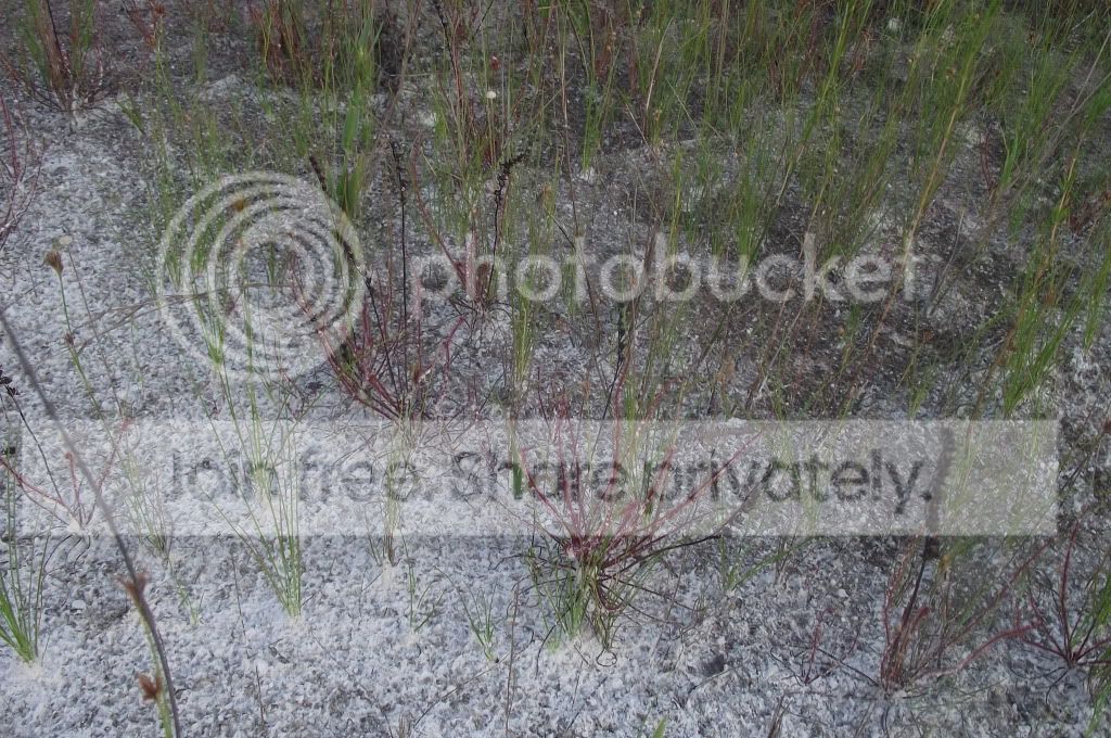 DSCF8820.jpg