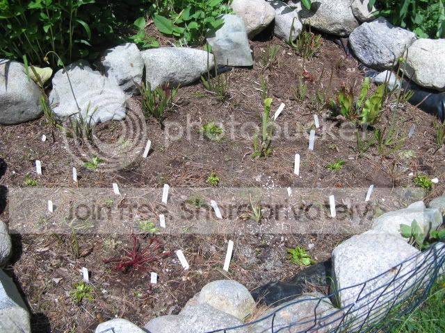 IMG_5683.jpg