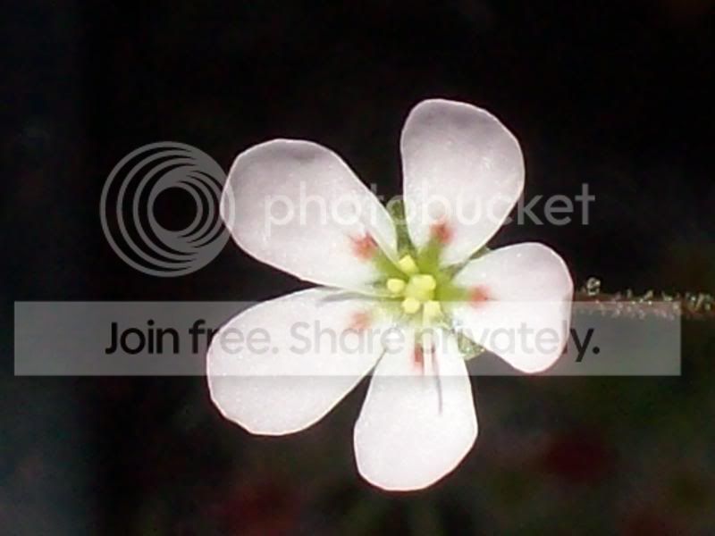 Picture002-16.jpg