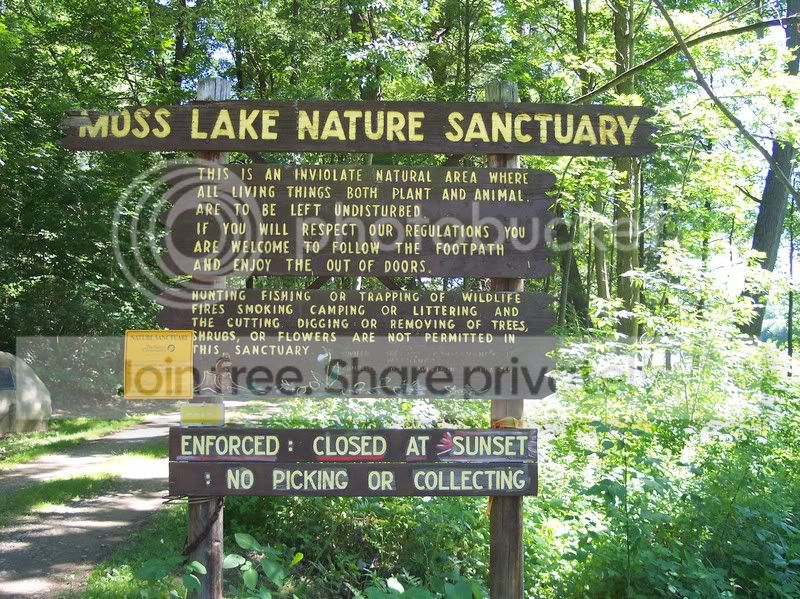 MossLake066.jpg