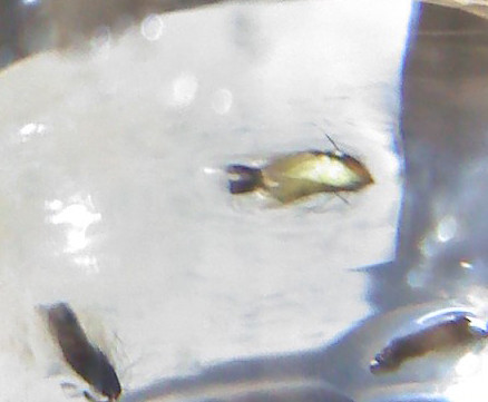 8908775343_1b1af864e1.jpg