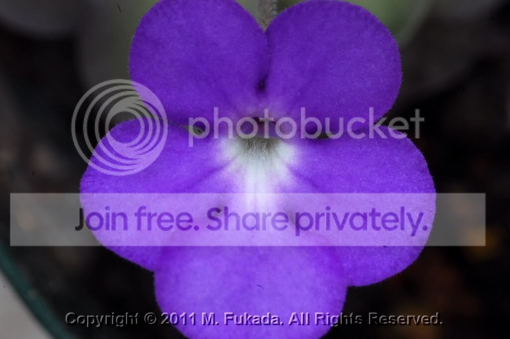 DSC_00060001_13_hf.jpg