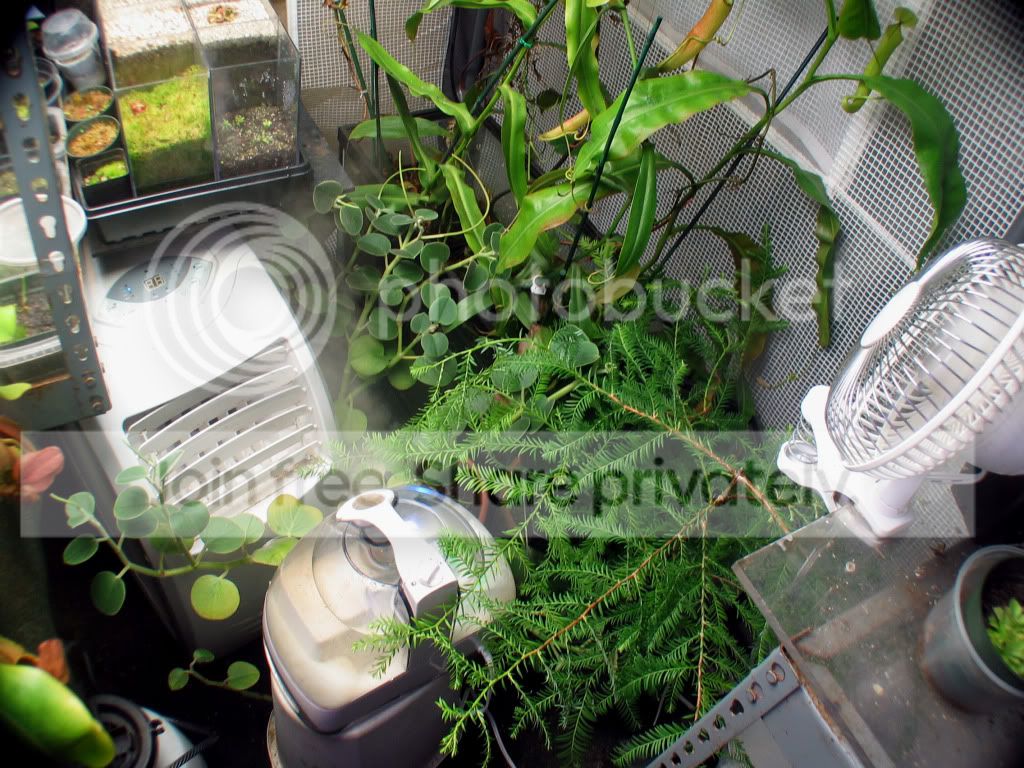 IMG_1612.jpg