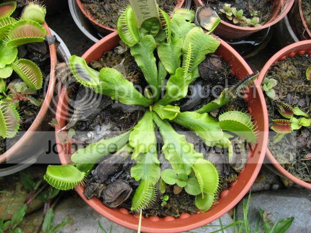 IMG_0693.jpg
