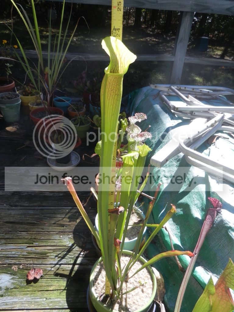 DSCN3380.jpg
