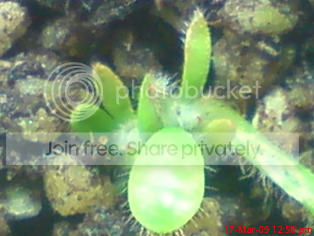 DSC01208.jpg