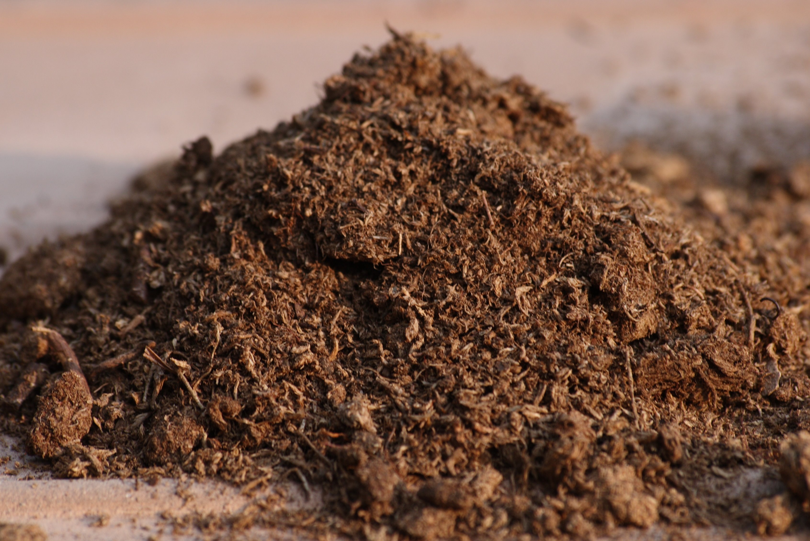 Schultz_Sphagnum_Peat_Moss.jpg