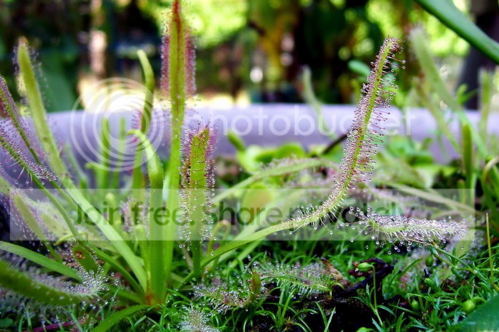 100_5530copy.jpg