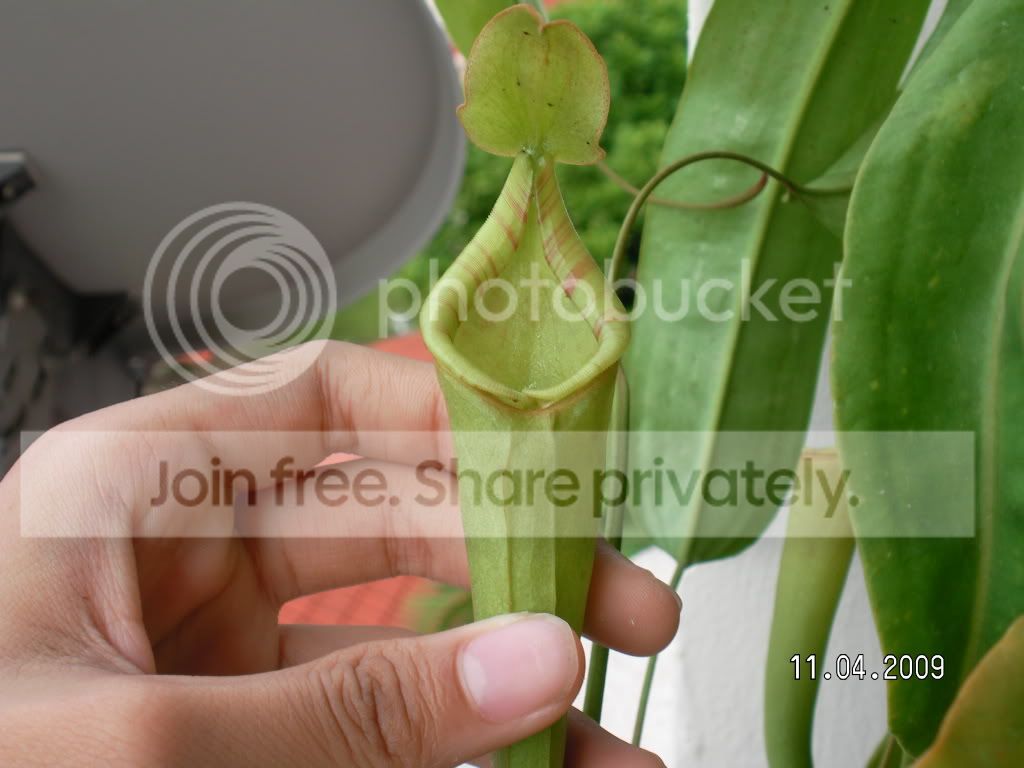 RIMG0031.jpg
