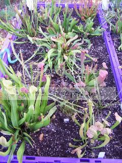 100_6302.jpg