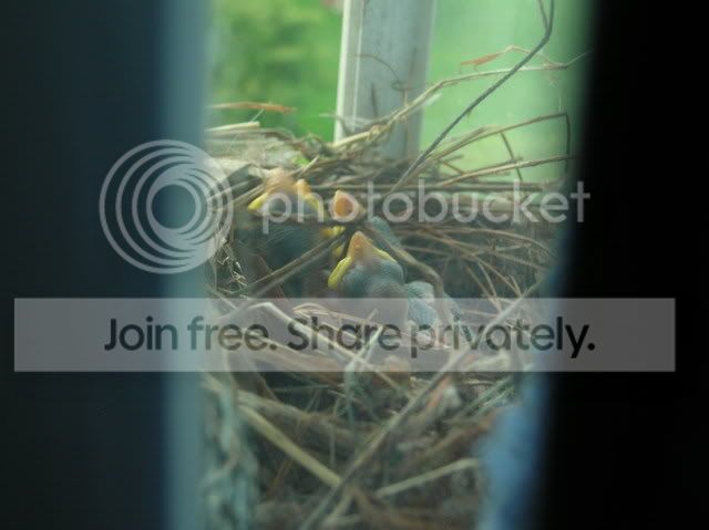 DSCN6732.jpg