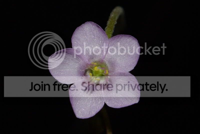 _IGP0069a.jpg