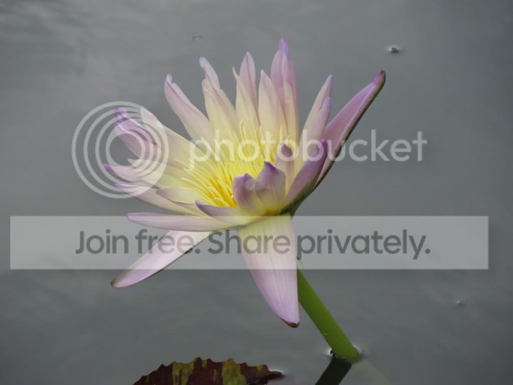 IMG_5759.jpg