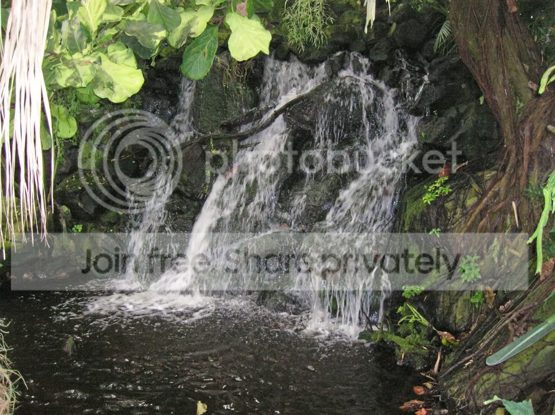 waterfall1.jpg