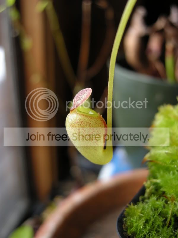 DSCN5850.jpg