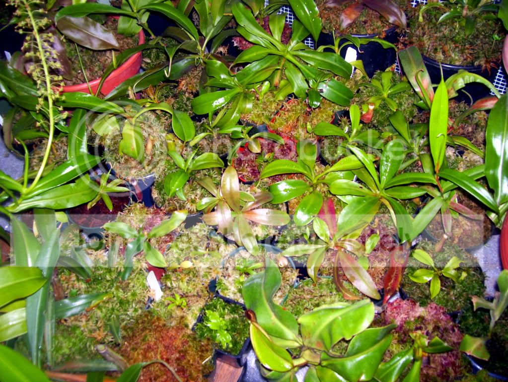 100_5854.jpg