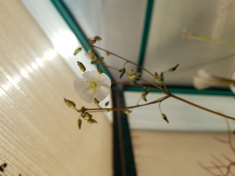 20180222000625-87df053a-me.jpg
