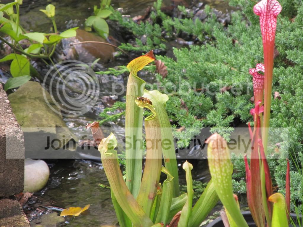 IMG_8842.jpg