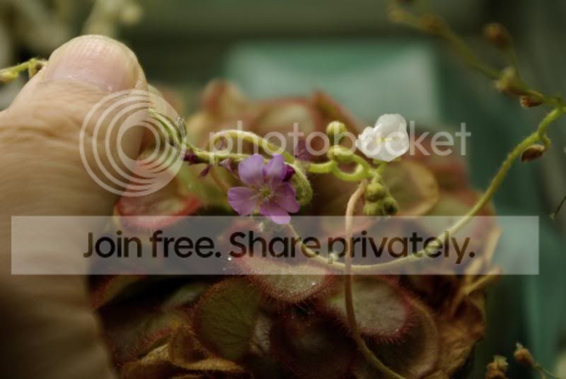 _IGP9666a.jpg