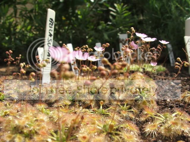 DSCF3789.jpg