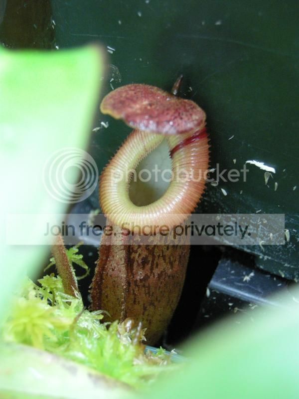 DSCN7457.jpg