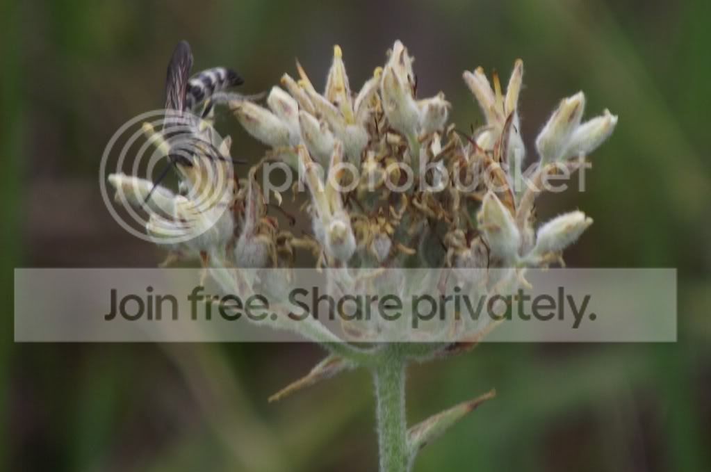 DSCF8757.jpg