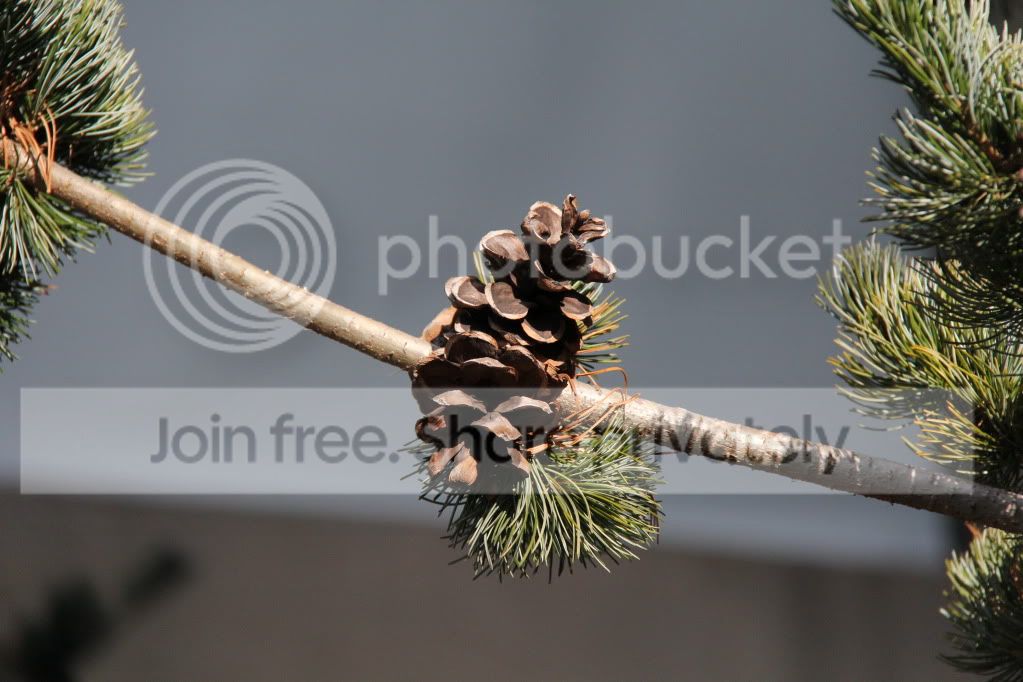 IMG_1300.jpg
