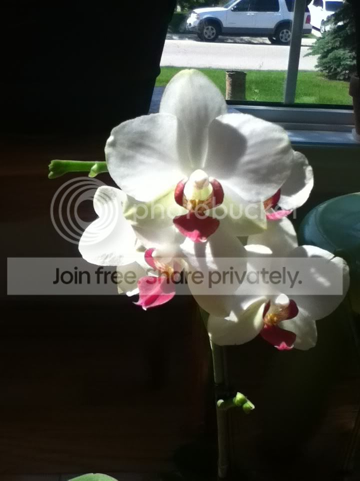 photo-15.jpg