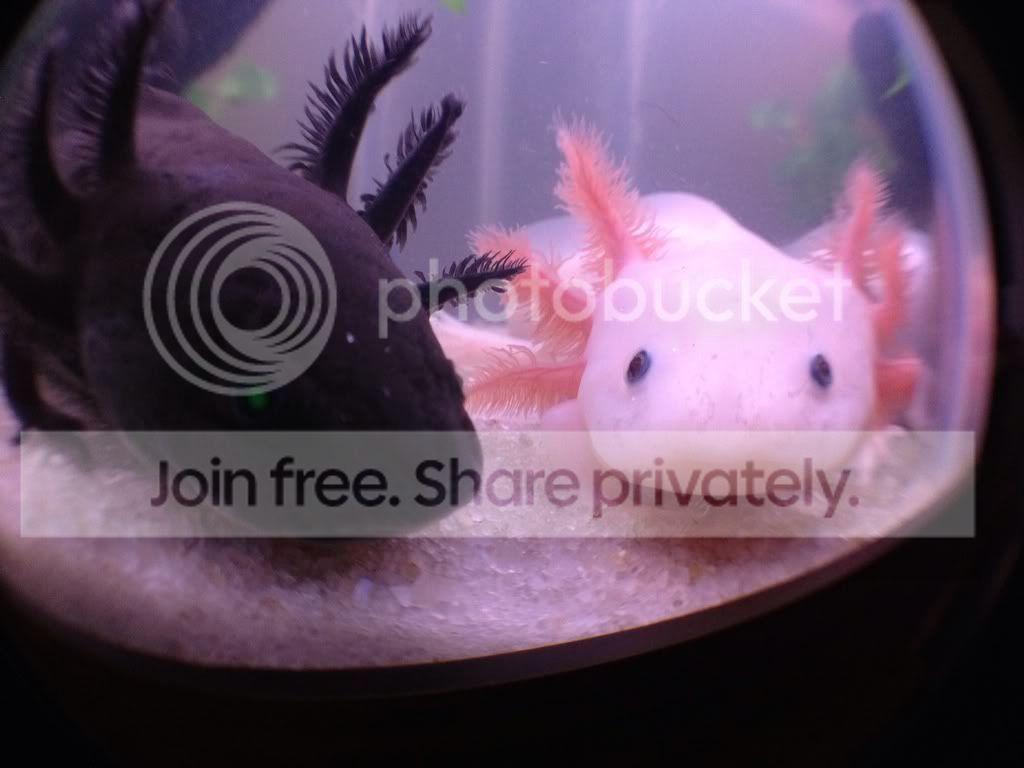 71347ed3.jpg