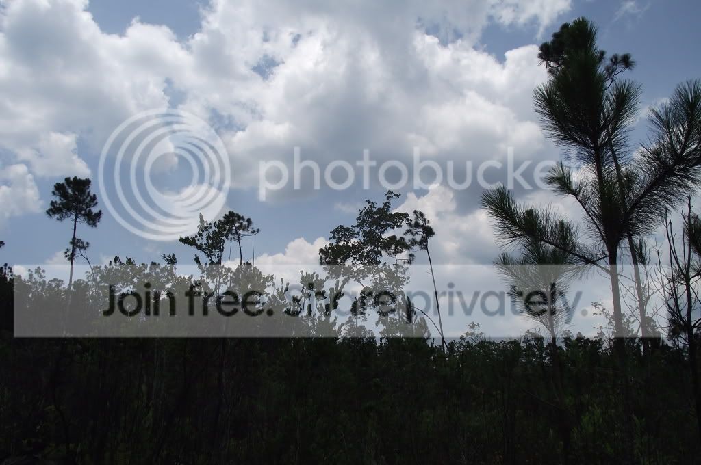 DSCF8696.jpg