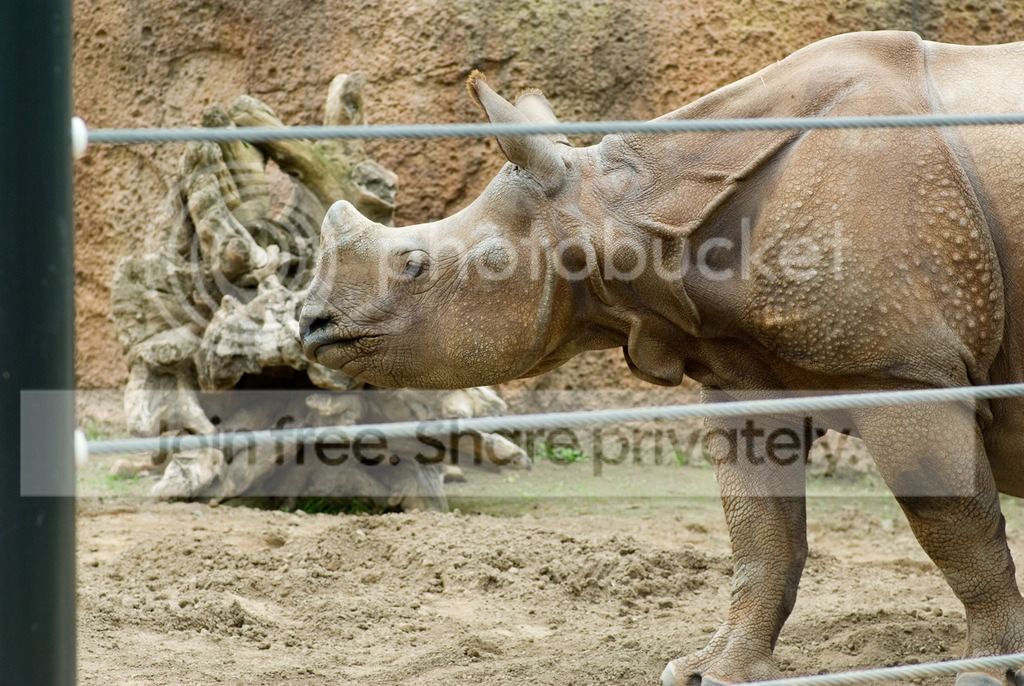 IMGP3630_zpsti4infsj.jpg