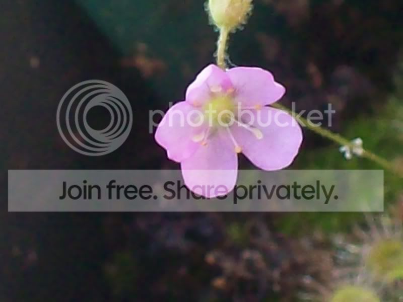 100_9800.jpg