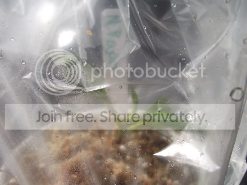 DSCF5910.jpg